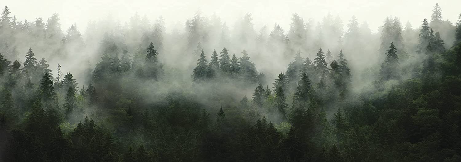 Wallarena Fototapete Wald im Nebel Ecke Vlies Tapete Vliestapete Schlafzimmer 624 x 219 cm, Glatt, Natur, Vliestapete inklusive Kleister