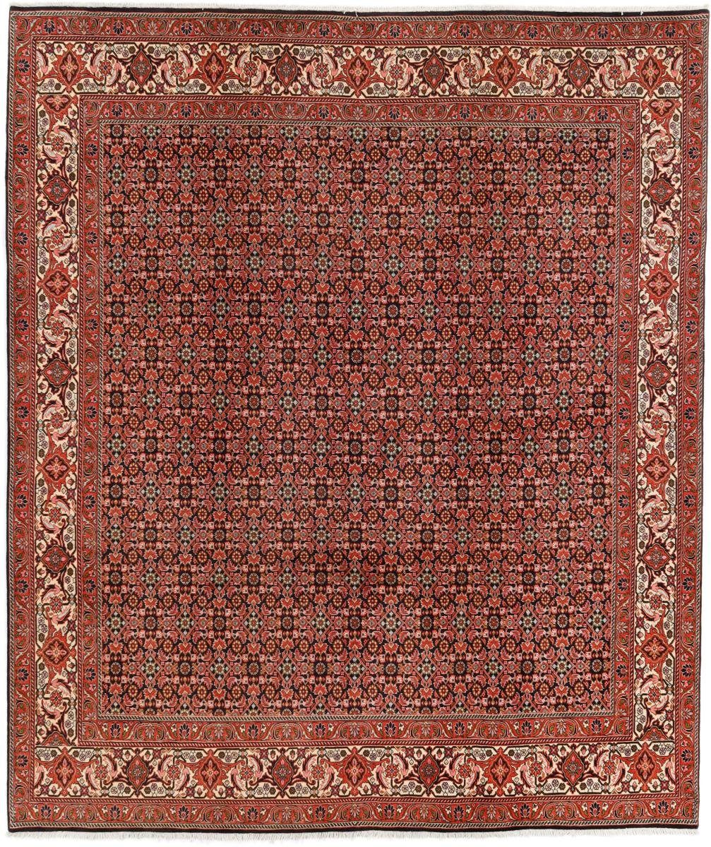 rechteckig, Orientteppich Höhe: Handgeknüpfter Zanjan Bidjar 249x301 12 mm / Nain Perserteppich, Trading, Orientteppich