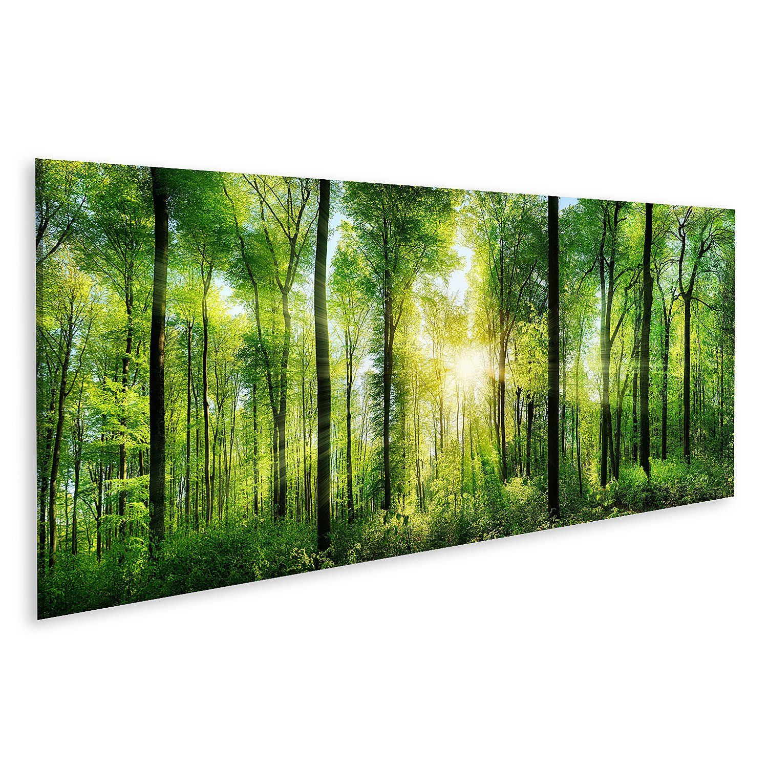 islandburner Leinwandbild Bild auf Leinwand Panorama Malerischer Wald Mit Frischgrünen Laubbäume