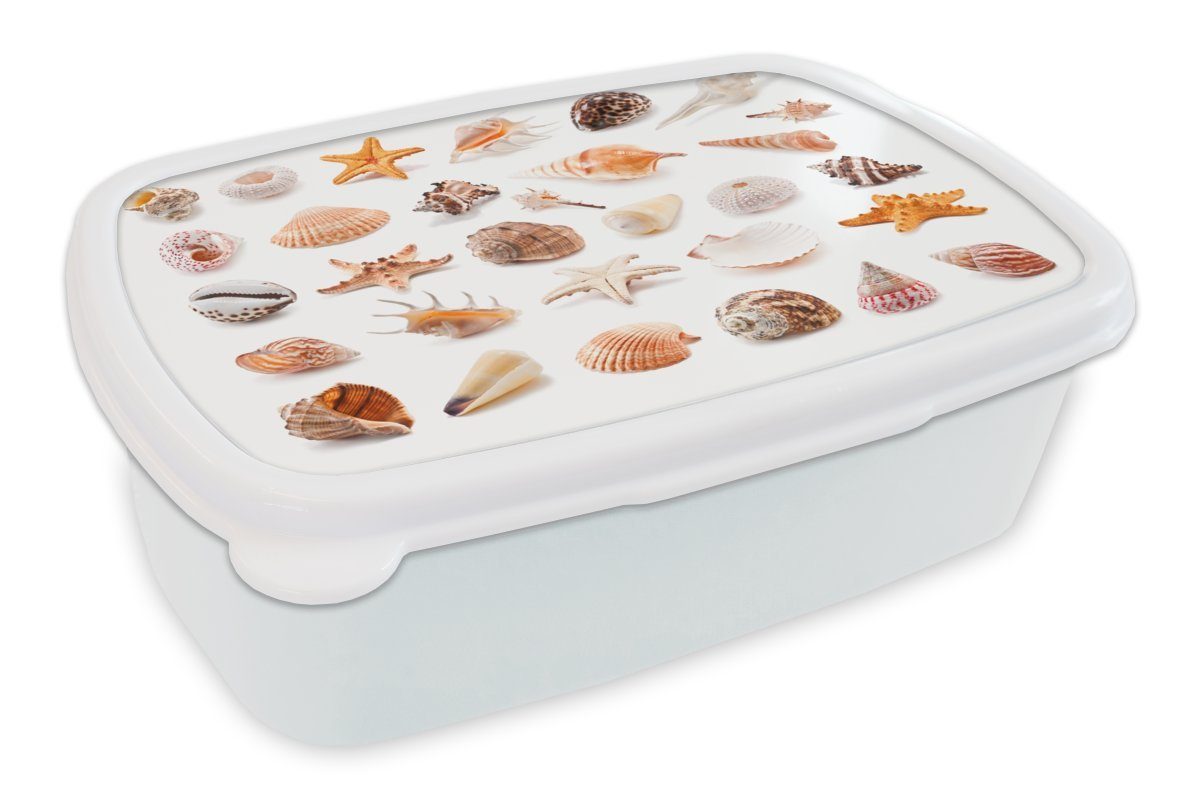 MuchoWow Lunchbox Muscheln Kinder für (2-tlg), Collage, und Kunststoff, Jungs weiß - für Brotbox Mädchen Strand Erwachsene, Brotdose, - und