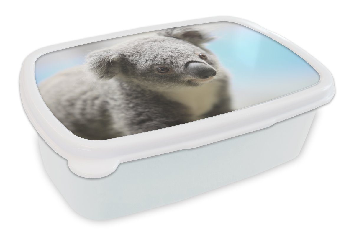 MuchoWow Lunchbox Koala - Nahaufnahme - Tier - Kinder - Jungen - Mädchen, Kunststoff, (2-tlg), Brotbox für Kinder und Erwachsene, Brotdose, für Jungs und Mädchen weiß