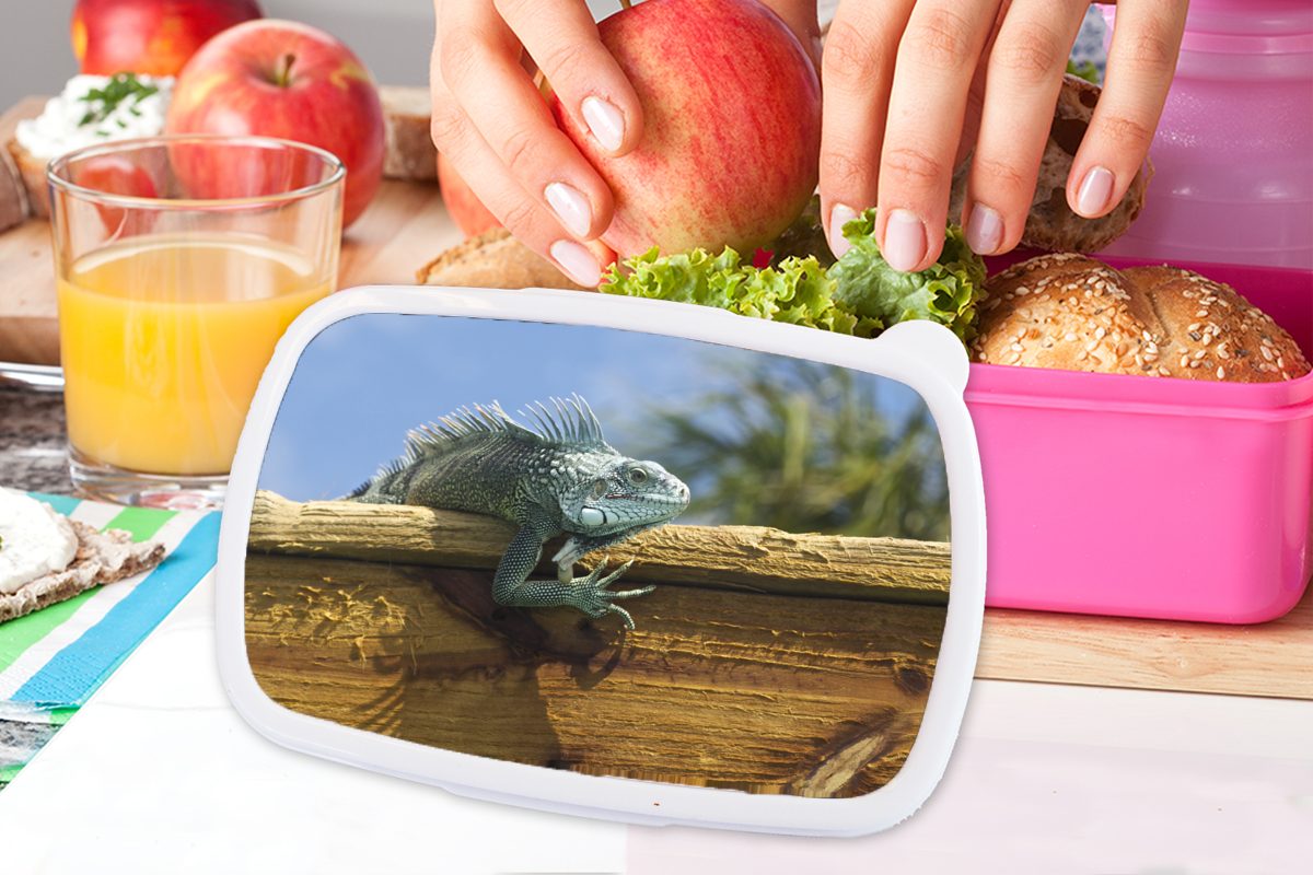 Holz Snackbox, in (2-tlg), MuchoWow für Kinder, auf Kunststoff, Lunchbox Brotdose Leguans rosa Kunststoff eines Curacao, Darstellung Erwachsene, Mädchen, Brotbox
