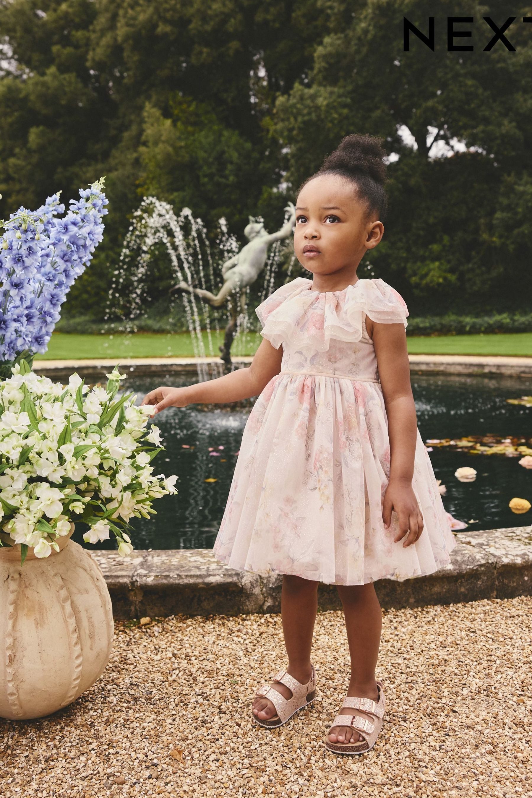 Next Tüllkleid Mesh-Kleid mit Rüschenkragen (1-tlg)