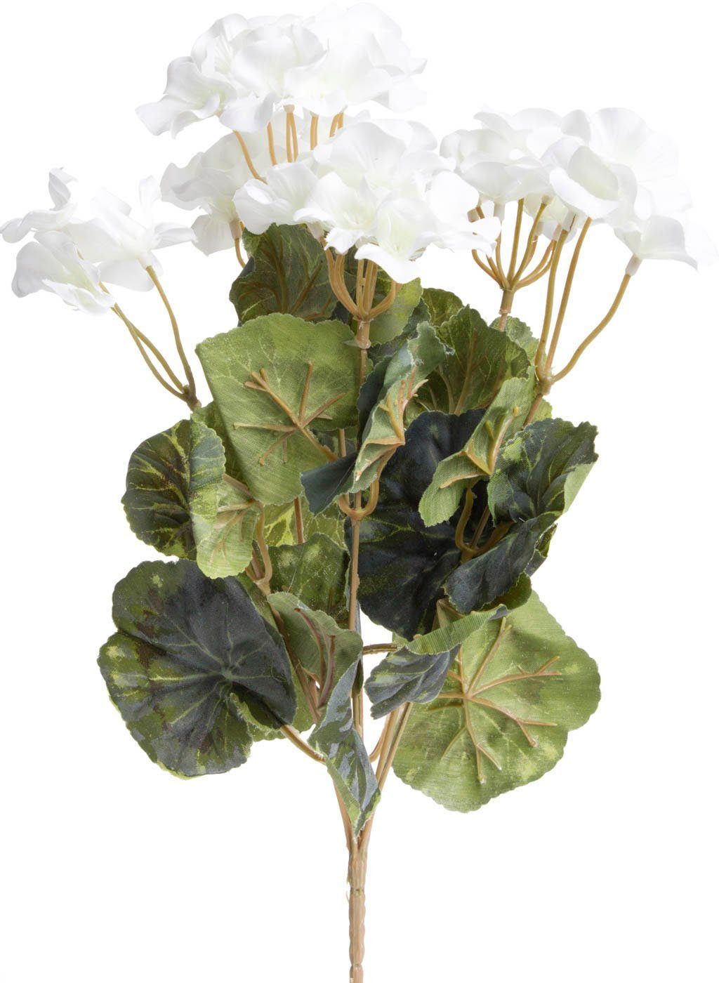 Kunstblume Geranienbusch Geranie, Botanic-Haus, Höhe 37 günstig online kaufen