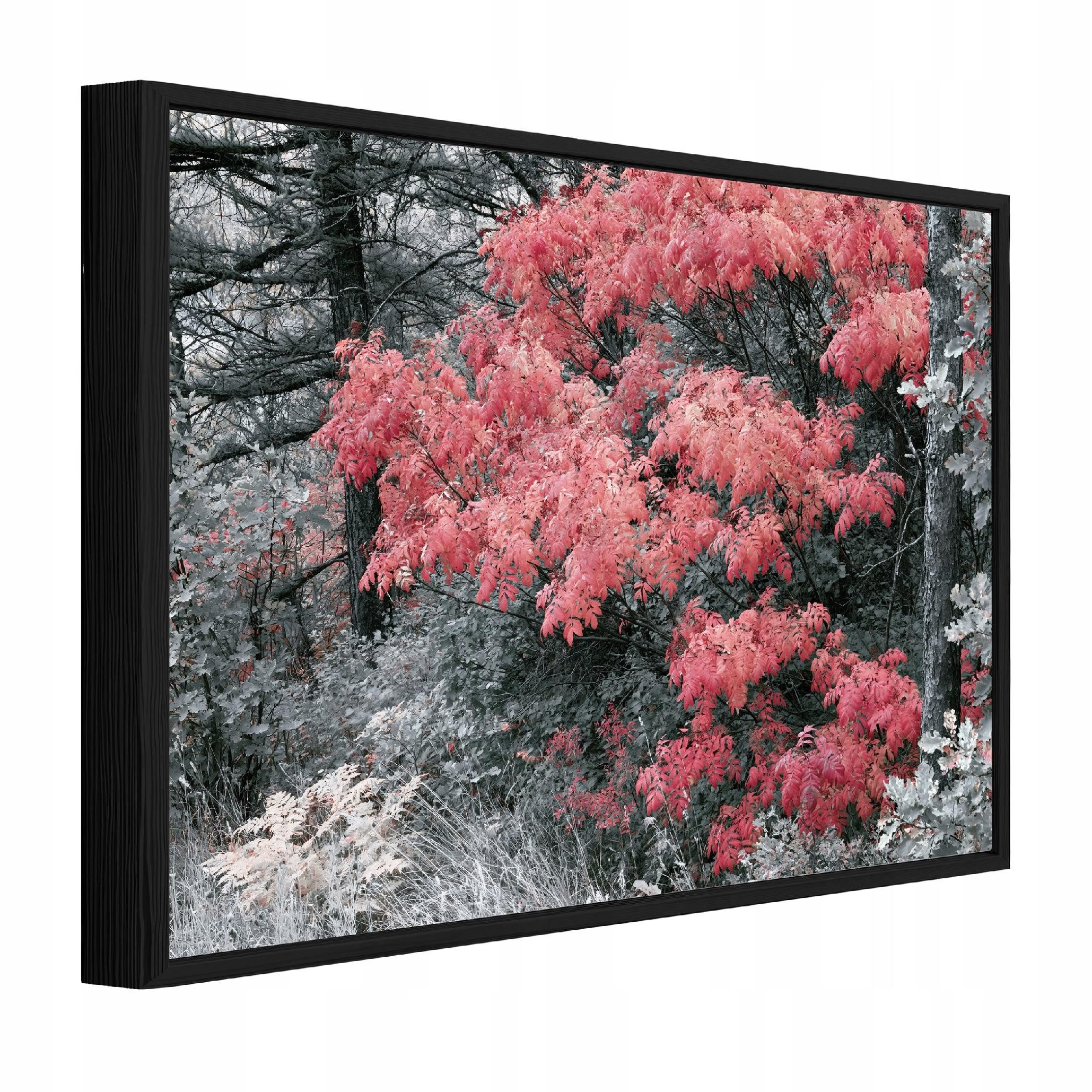 Wallarena Leinwandbild Wald gerahmt UV-beständig Schlafzimmer Wohnzimmer 40x30 cm, Wald, 90 x 60 cm