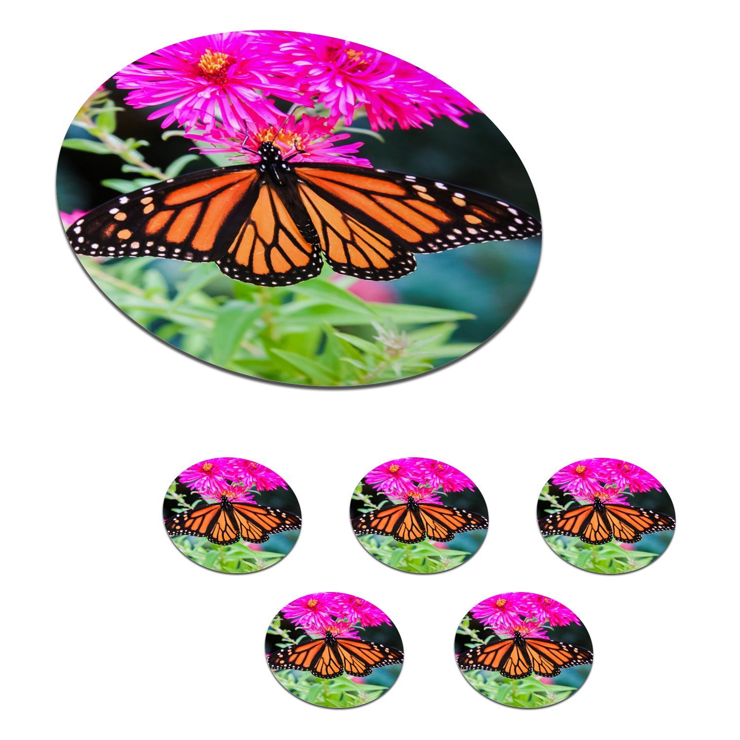 MuchoWow Glasuntersetzer Schmetterling - Botanisch - Blume, Zubehör für Gläser, 6-tlg., Getränkeuntersetzer, Tassenuntersetzer, Korkuntersetzer, Tasse, Becher