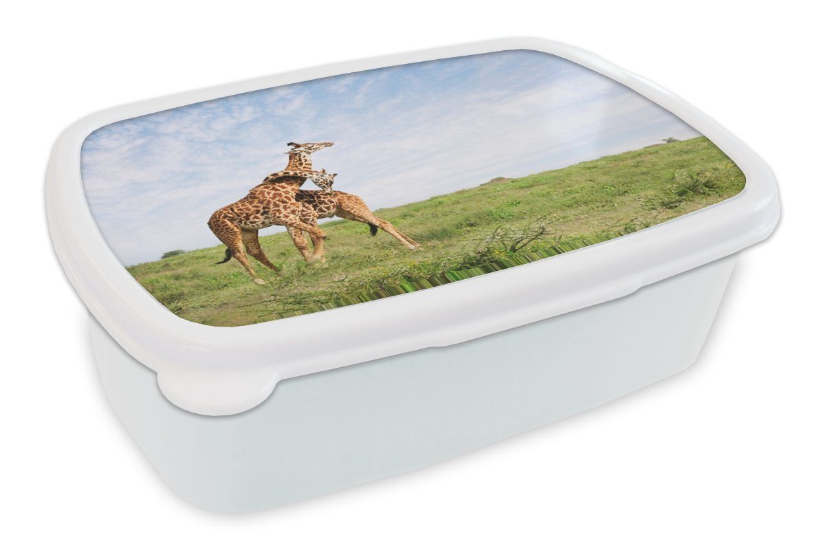 MuchoWow Lunchbox Zwei Giraffen kuscheln, Kunststoff, (2-tlg), Brotbox für Kinder und Erwachsene, Brotdose, für Jungs und Mädchen weiß