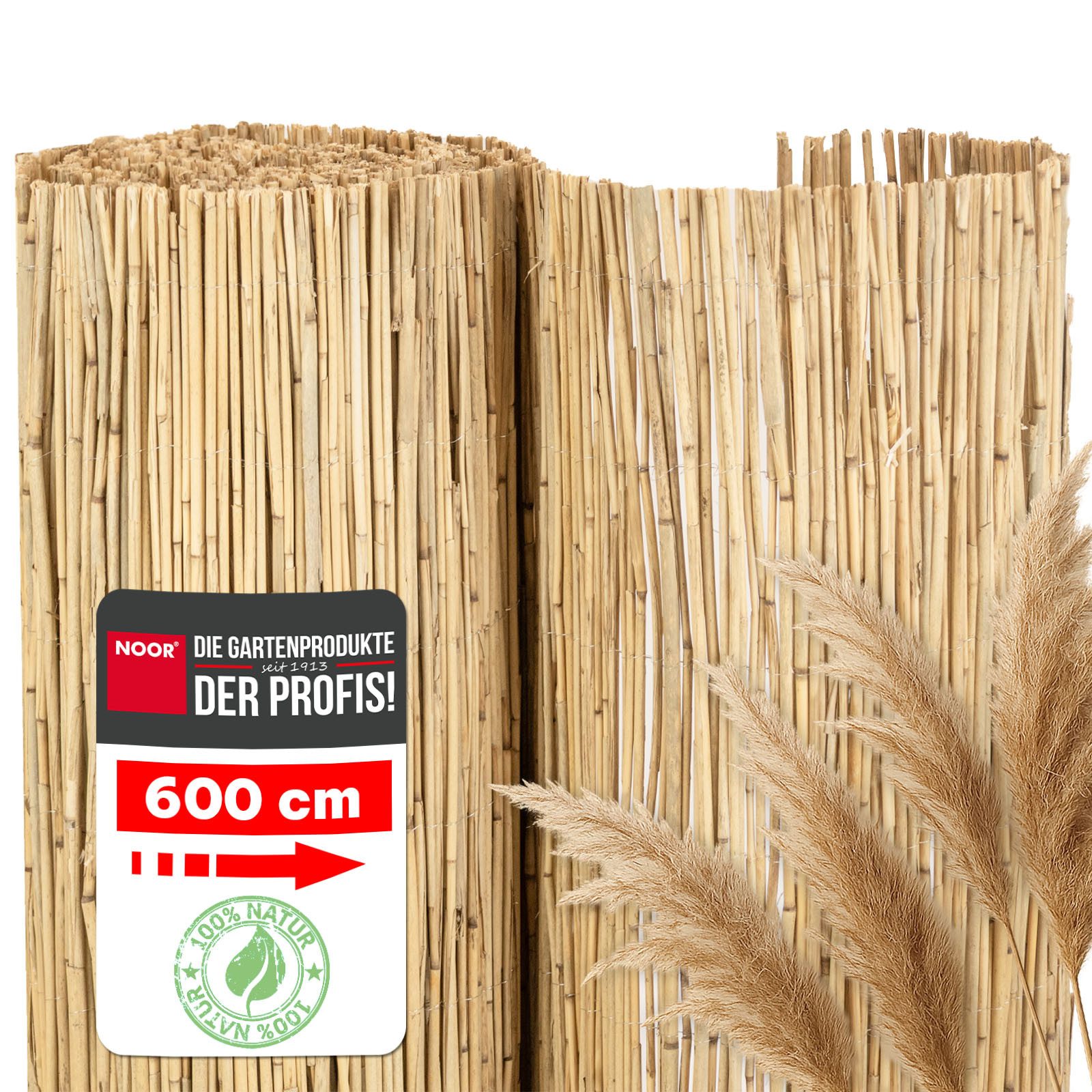 NOOR Sichtschutzzaunmatten Schilfrohrmatte ST. TROPEZ, natürlicher Sichtsch günstig online kaufen