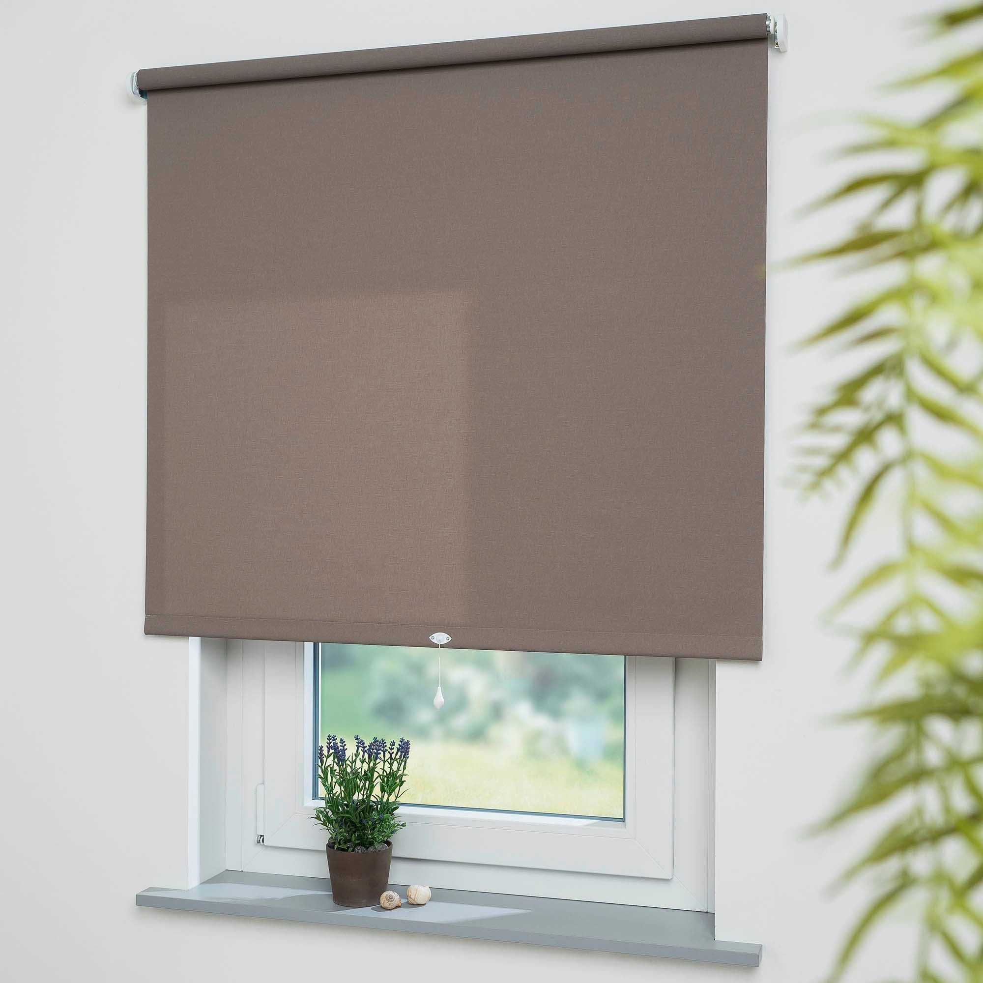Springrollo Uni, Liedeco, Lichtschutz, mit Bohren/ohne günstig online kaufen