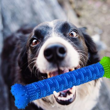 Retoo Kauspielzeug Hundespielzeug Knochen Geformt Hund Spielzeug weichen Kauspielzeug