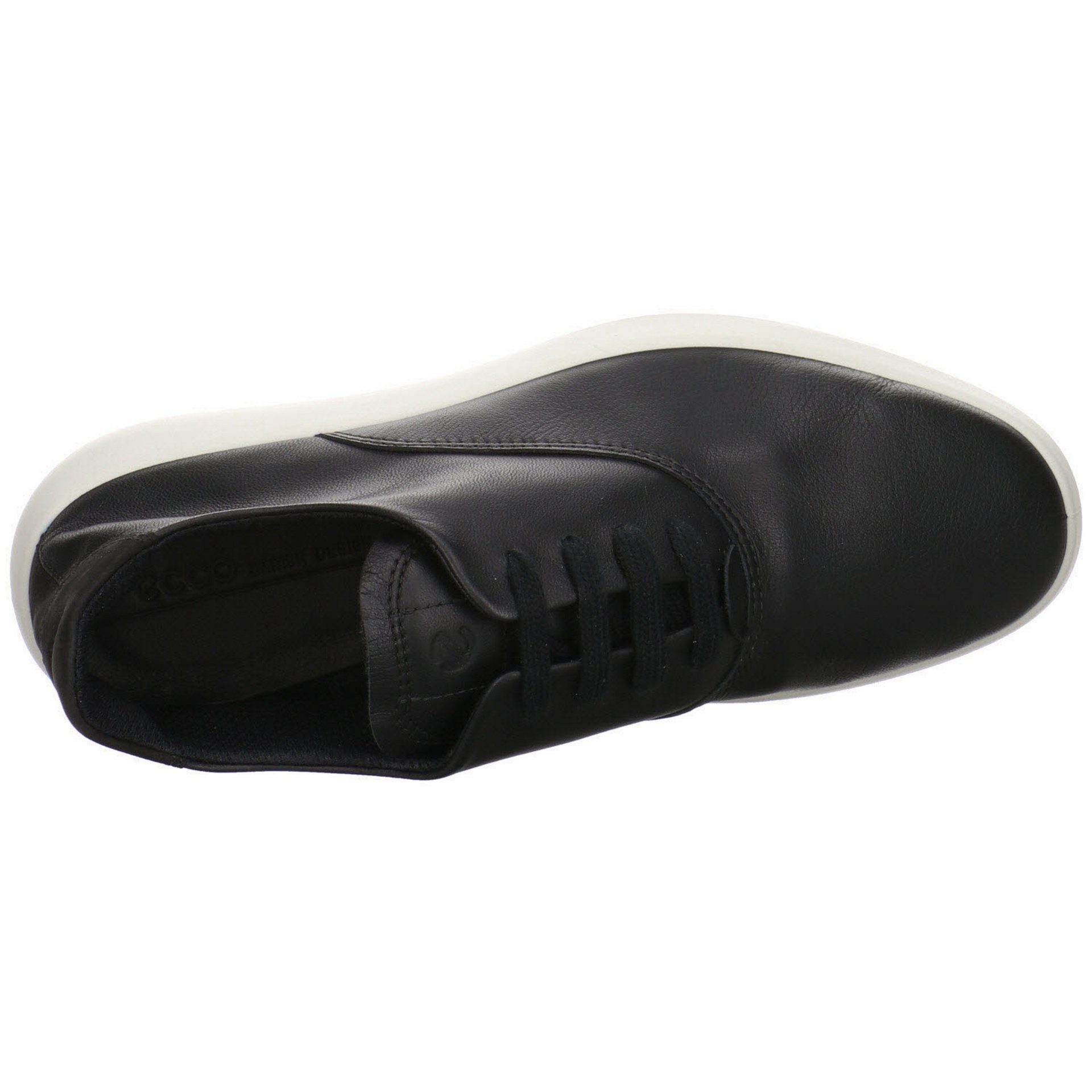 Sneaker Damen Ecco Schuhe Schnürschuh Glattleder BLACK/BLACK Minimalist Sneaker