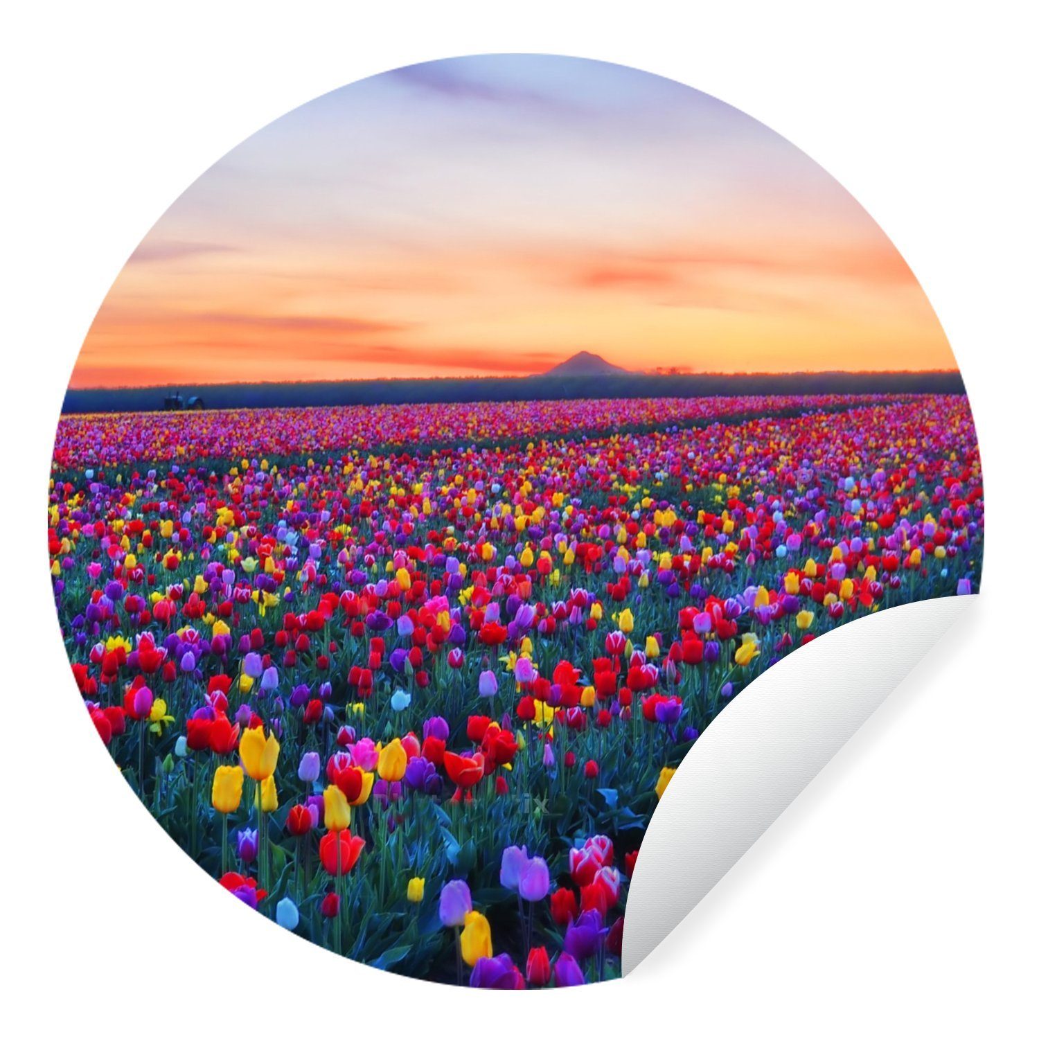 MuchoWow Wandsticker Tulpen - Regenbogen - Horizont (1 St), Tapetenkreis für Kinderzimmer, Tapetenaufkleber, Rund, Wohnzimmer