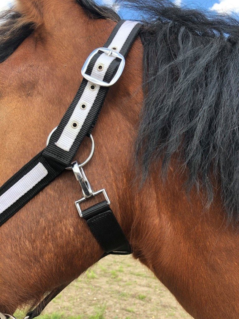 Kaltblut, Halfter weiß xfull, Pferdelinis zweifach 2 Fach Halfter für verstellbar verstellbar, Pferde