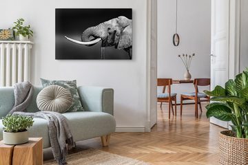 Sinus Art Leinwandbild 120x80cm Wandbild auf Leinwand Elefant Stoßzähne Schwarz Weiß Tierfoto, (1 St)