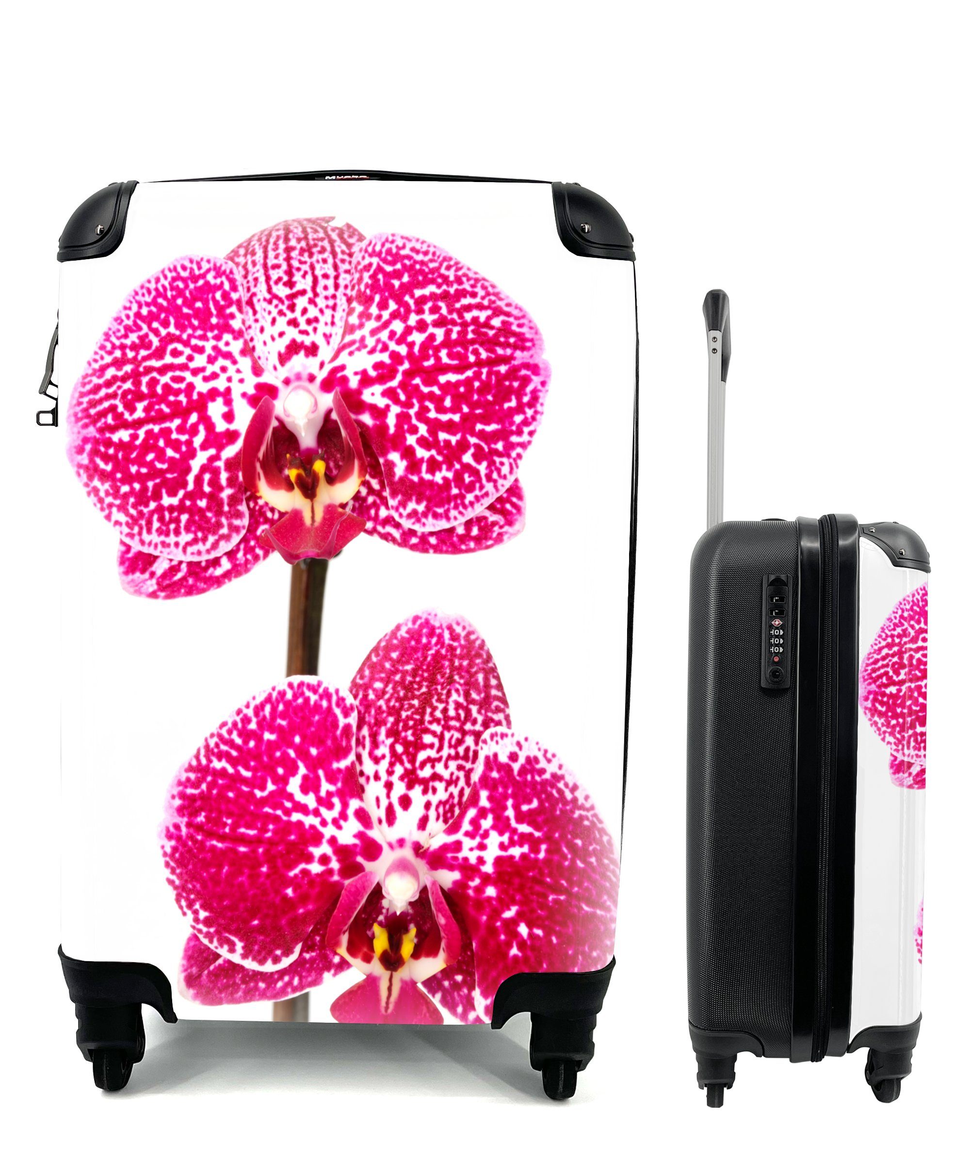 MuchoWow Handgepäckkoffer Orchidee rosa, 4 Rollen, Reisetasche mit rollen, Handgepäck für Ferien, Trolley, Reisekoffer