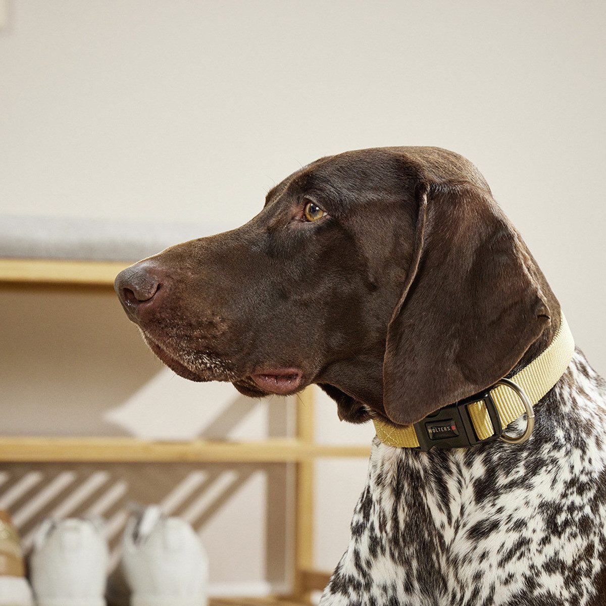 Wolters Hunde-Halsband Halsband Professional curry gelb