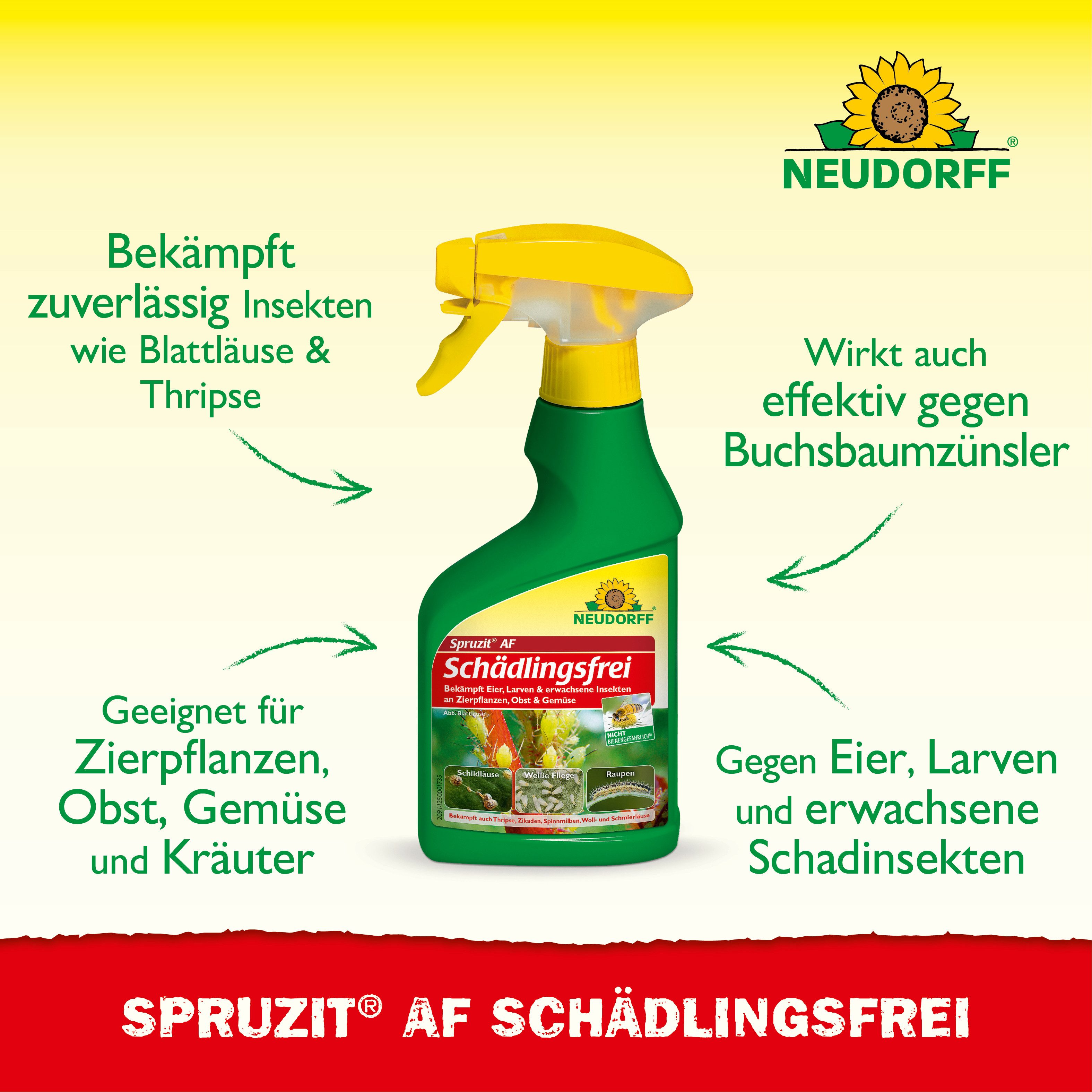 Neudorff Insektenspray Spruzit AF Schädlingsfrei 250 ml, 250 ml, Für Zierpflanzen, Obst & Gemüse in Haus und Garten, Anwendungsfertiges Spray gegen zahlreiche P – Bild 2 von 5