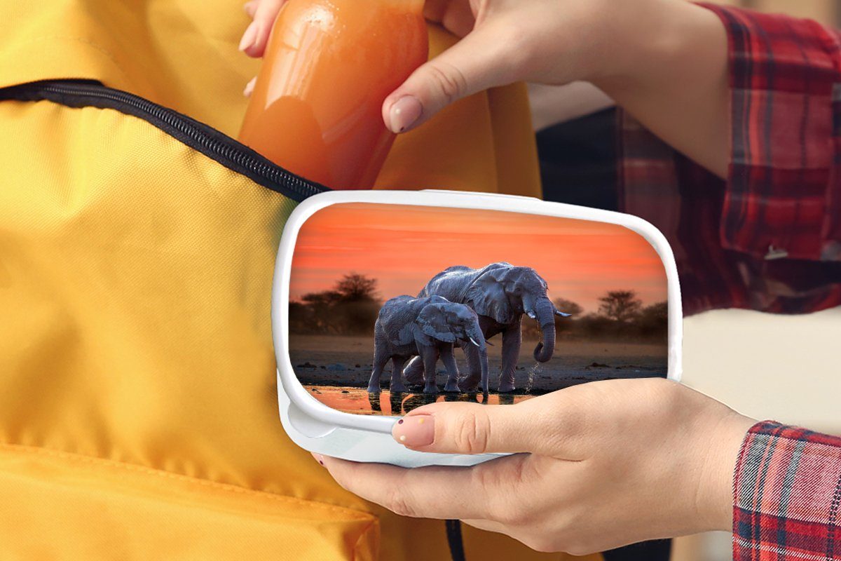und Kunststoff, Mädchen - weiß MuchoWow - Erwachsene, Tiere Orange, für Elefant und Brotdose, für Jungs Lunchbox Brotbox - - Sonnenuntergang Kinder Wasser (2-tlg),