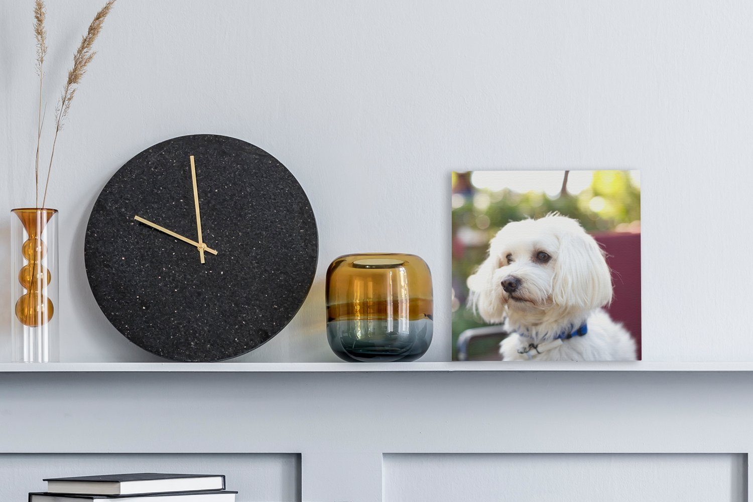 OneMillionCanvasses® Leinwandbild Niedlicher Bilder Wohnzimmer für St), Schlafzimmer Malteser Leinwand Hund, (1