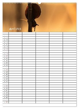 CALVENDO Wandkalender Im Schneckentempo durchs Jahr / Familienplaner (Premium, hochwertiger DIN A2 Wandkalender 2023, Kunstdruck in Hochglanz)
