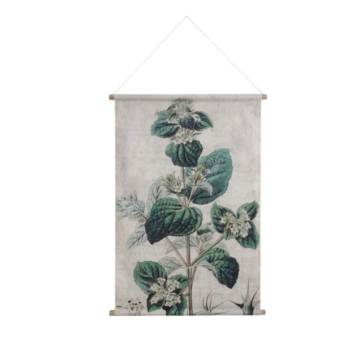 HKLiving Wandbild HKliving Wall Chart: Botanical XL