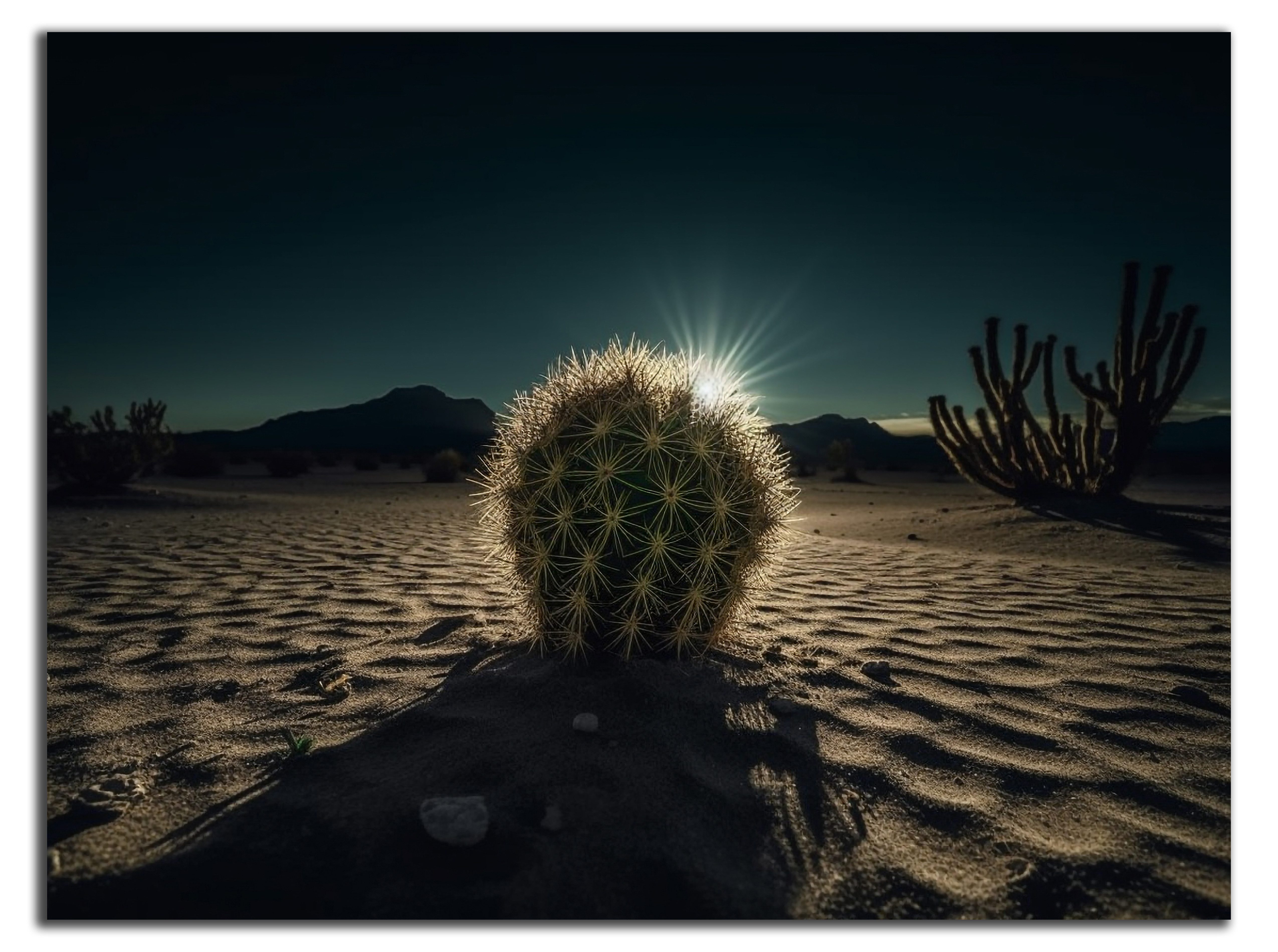 DARO Design Leinwandbild Modern Abstrakt Wandbilder XXL Wandbild Wand Deko Leinwand Bilder, (Kaktus - Bild groß Wohnzimmer Schlafzimmer Küche Esszimmer Einteilig Querformat Fotodruck Leinwände Wanddeko Abstrakte Kunst Boho), 30x20cm