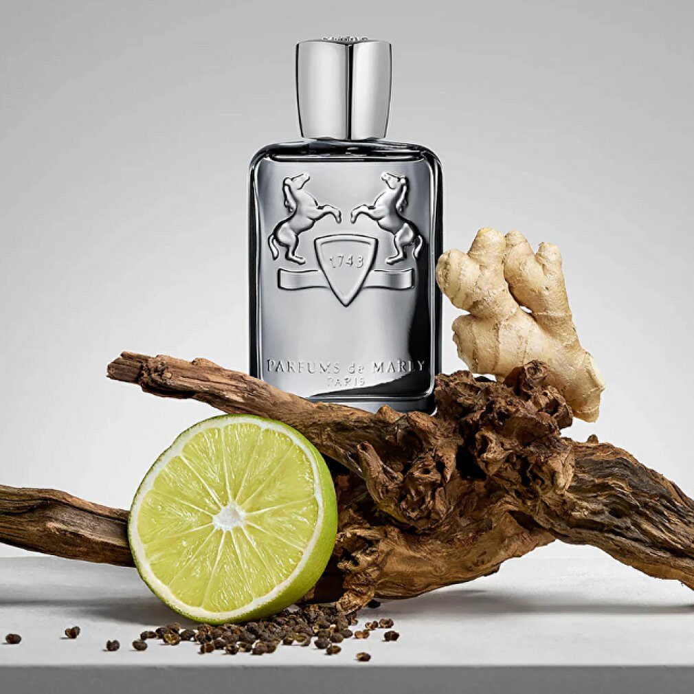 parfums de marly Eau de Parfum Castley Eau de Parfum 125 ml
