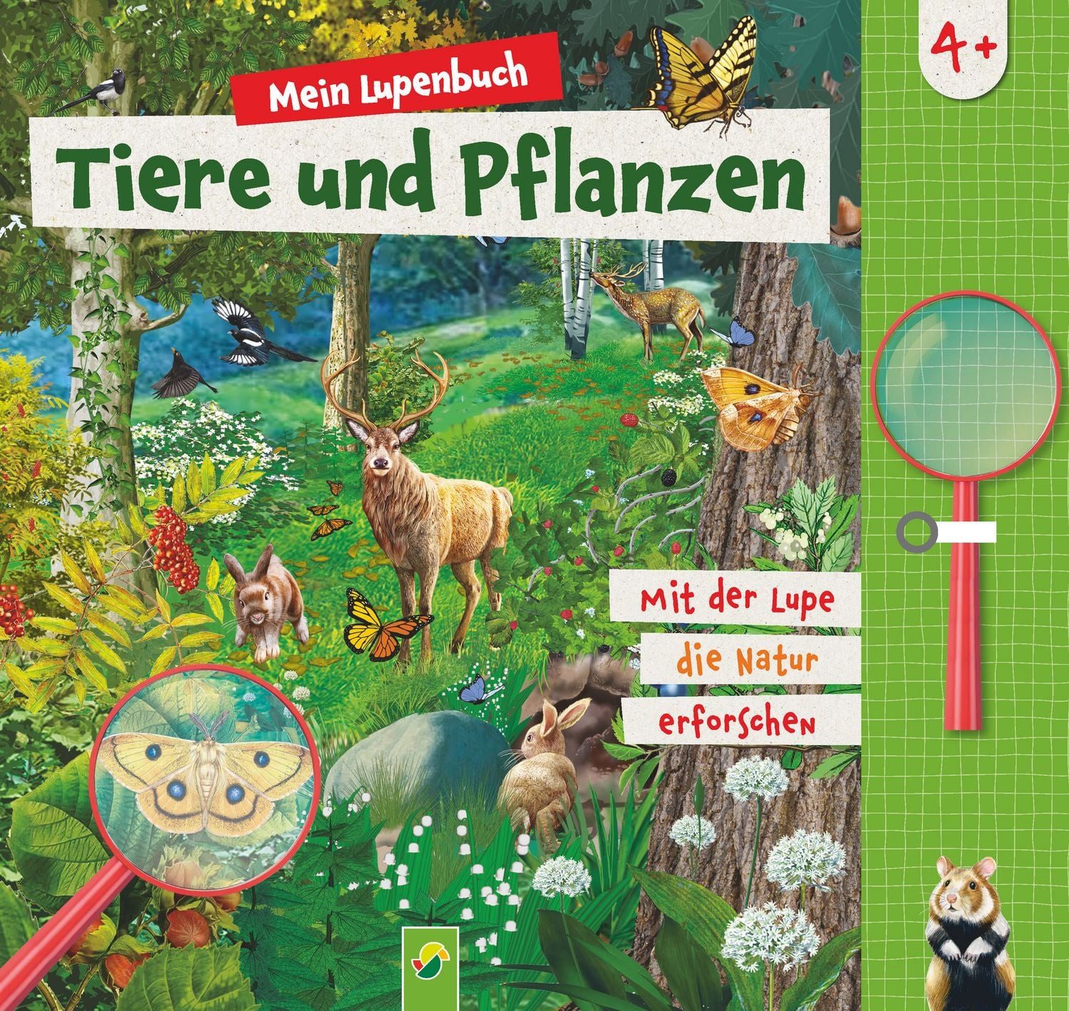 Mein Lupenbuch Tiere und Pflanzen / Sandra Noa, Marcus Würmli, Elina Roth, Schwager & Steinlein Verlag