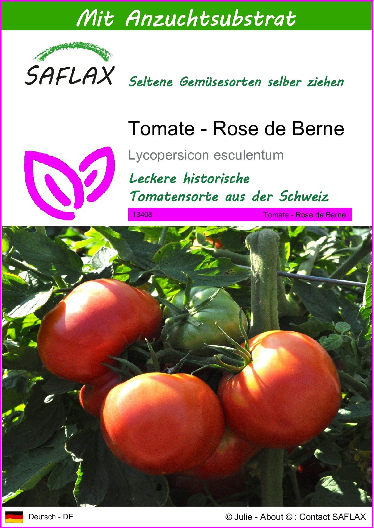 Gemüsesamen SAFLAX - Samen und Substrat - Tomate - Rose de Berne
