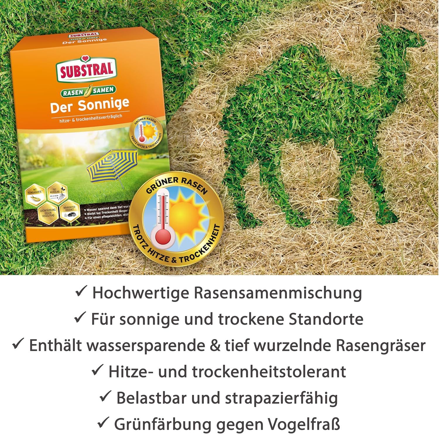 Substral Rasensamen Substral Rasensamen Der Sonnige 1,125 kg – Bild 5 von 5