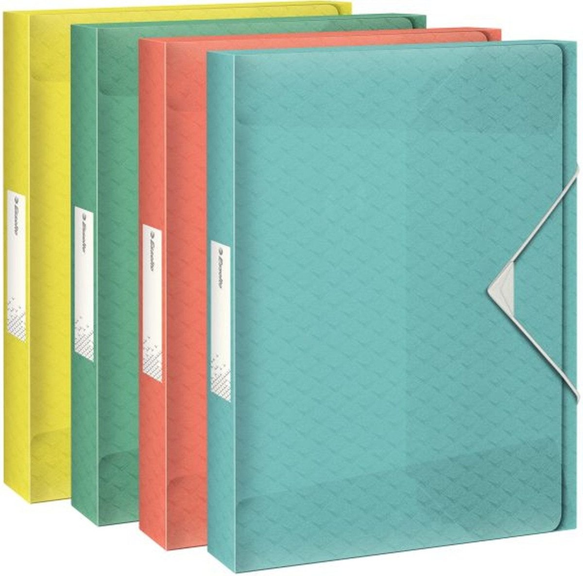 ESSELTE Fächermappe Ablagebox Colour'Ice A4 PP 25mm sortiert