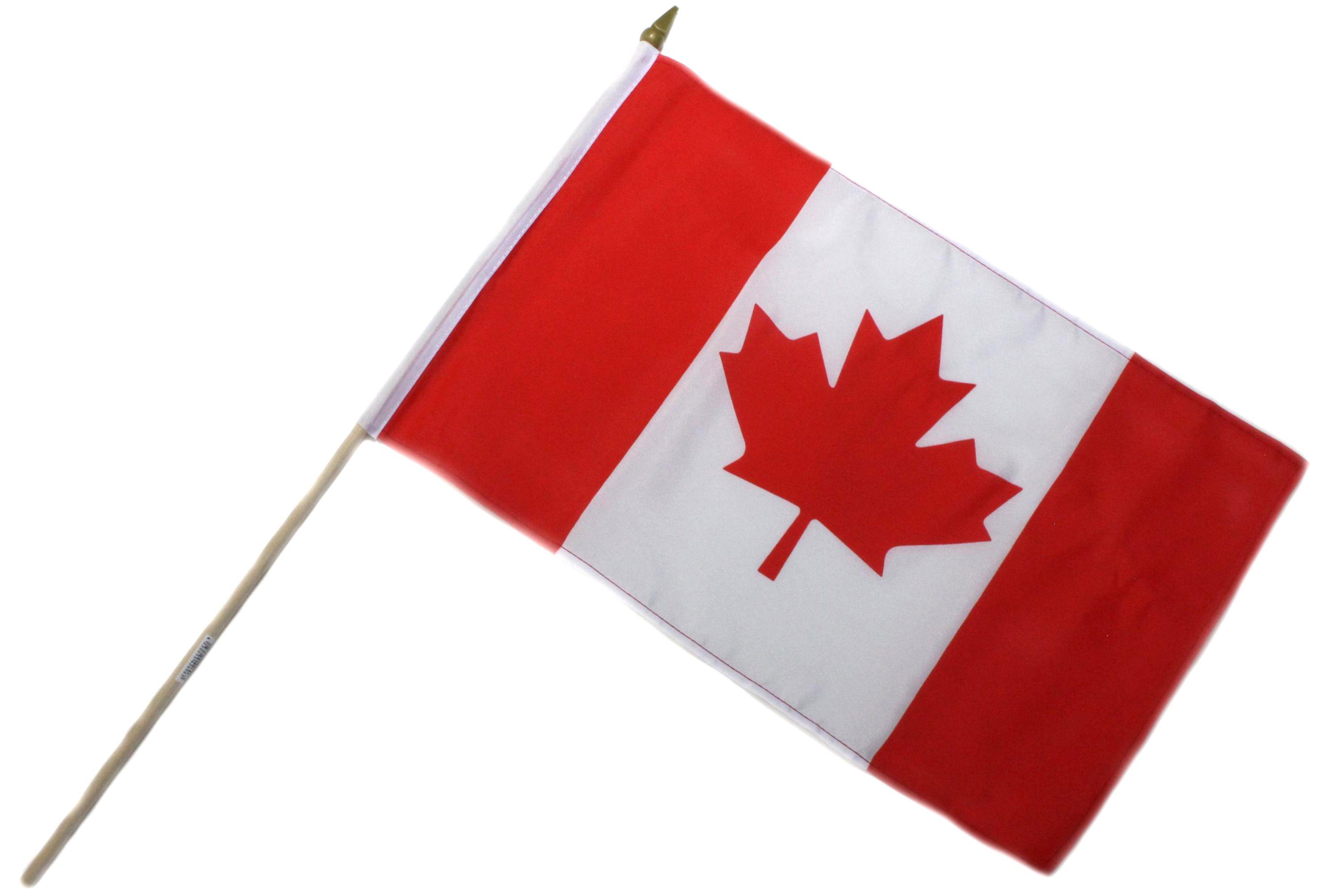 ELLUG Flagge Fahne Flagge 30x45cm doppelt umsäumt mit 60cm Holzstab Handfahne Stockflagge Banner Fan Sport Kanada