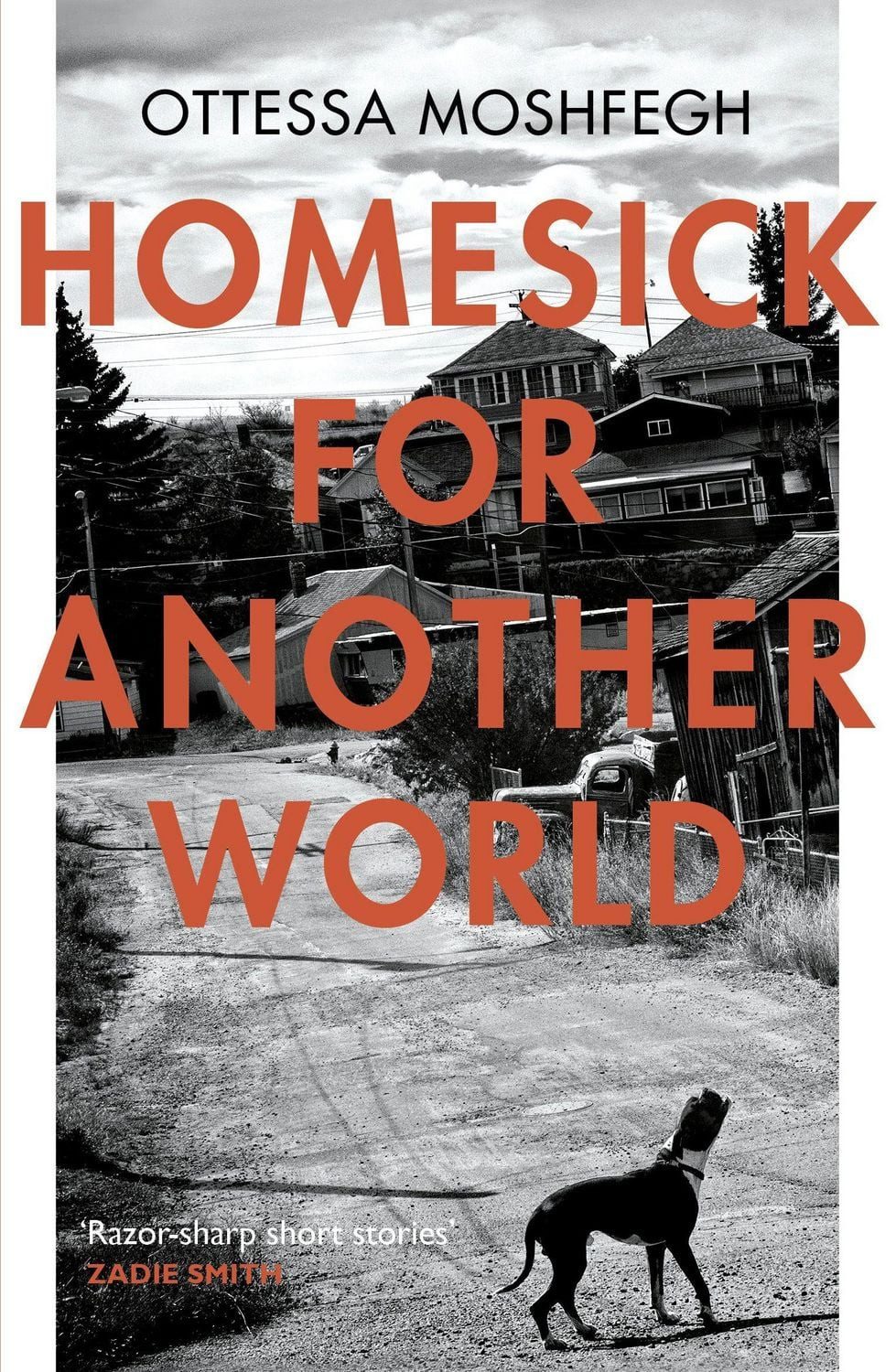 Homesick For Another World / Ottessa Moshfegh