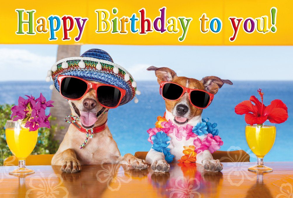 Grußkarten Geburtstag - Glückwunschkarte im Format 11,5 x 17 cm mit Briefumschlag