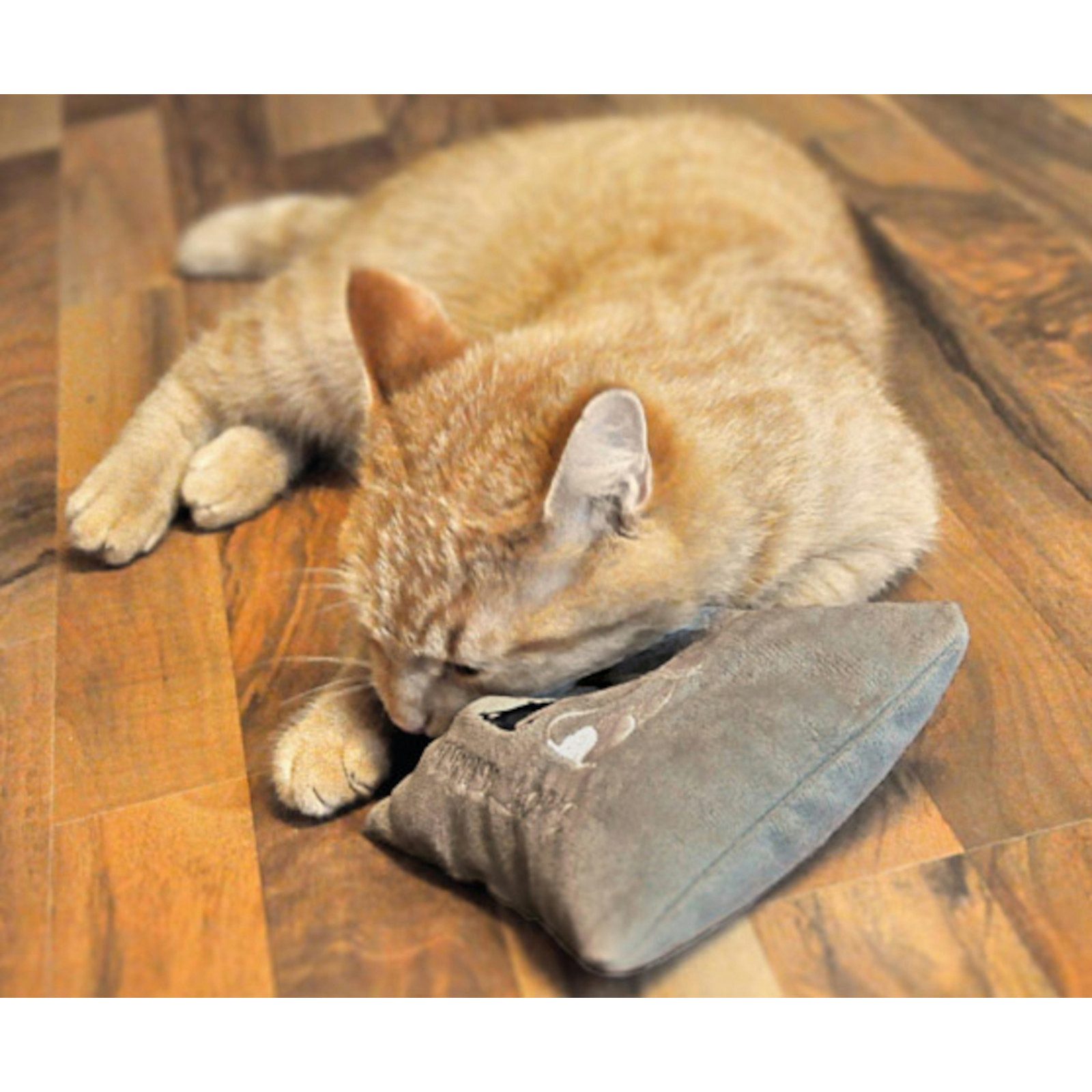 Aumüller Raschelkissen Katzenspielkissen True Love Mini, günstig online kaufen