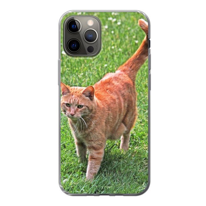 MuchoWow Handyhülle Katze - Rot - Katze - Mädchen - Kinder - Jungen - Kind Handyhülle Apple iPhone 12 Pro Smartphone-Bumper Print Handy
