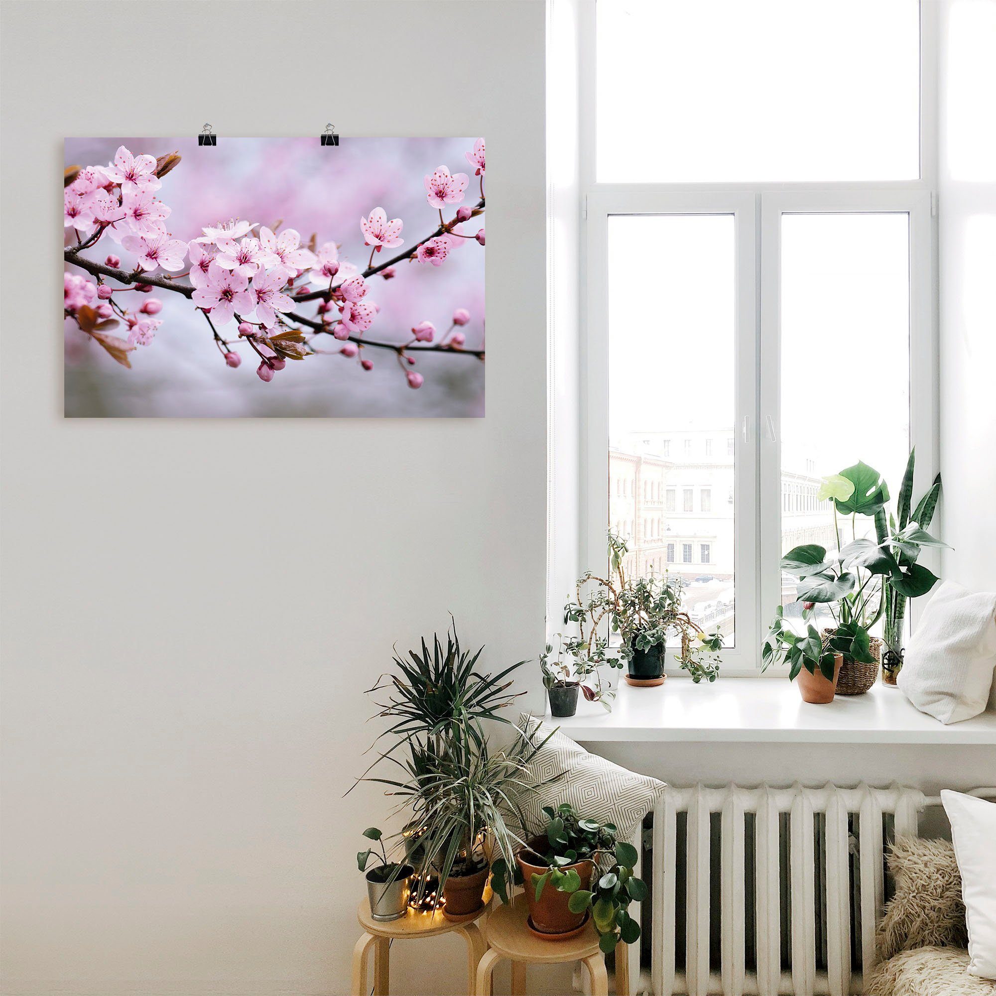 Artland Wandbild Kirschblüten, Blumen (1 St), günstig online kaufen