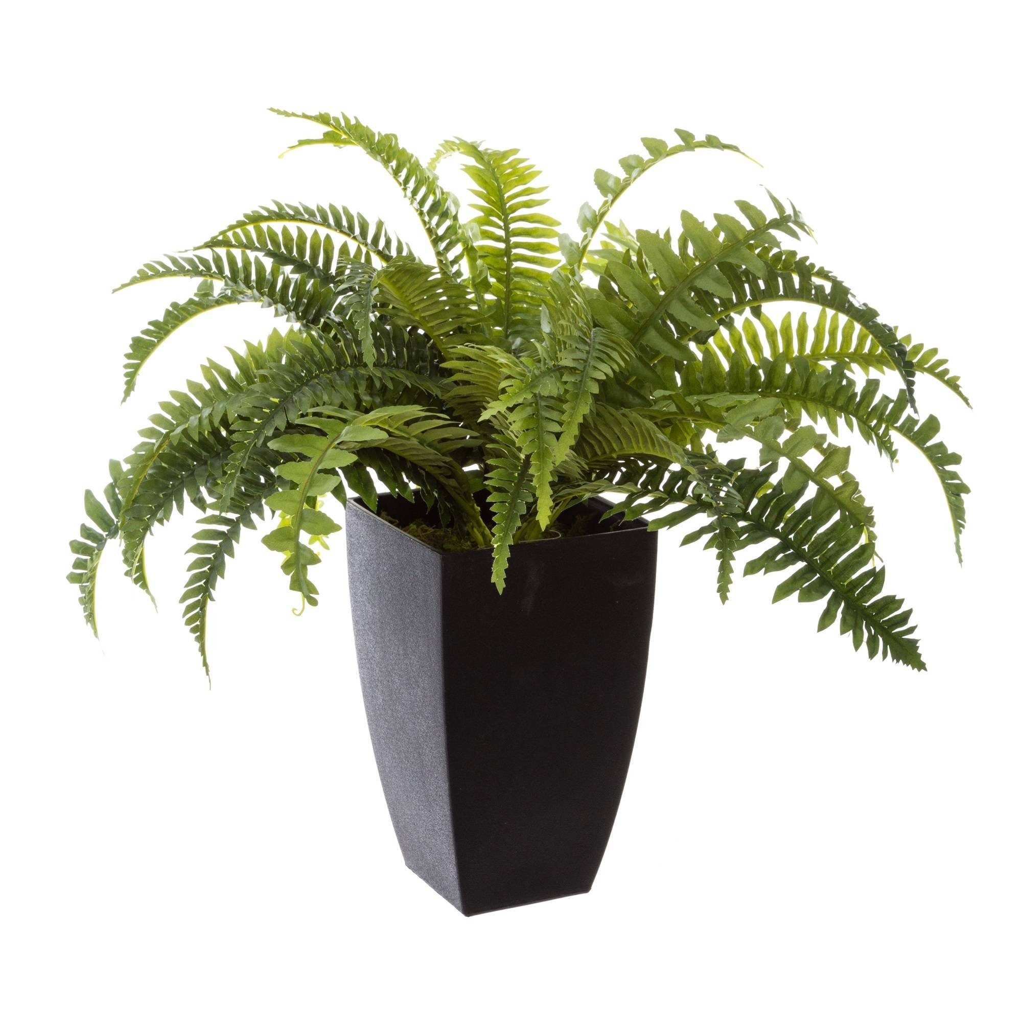 Kunstpflanze Tüpfelfarn Zimmerpflanze, Atmosphera Créateur d'intérieur, günstig online kaufen