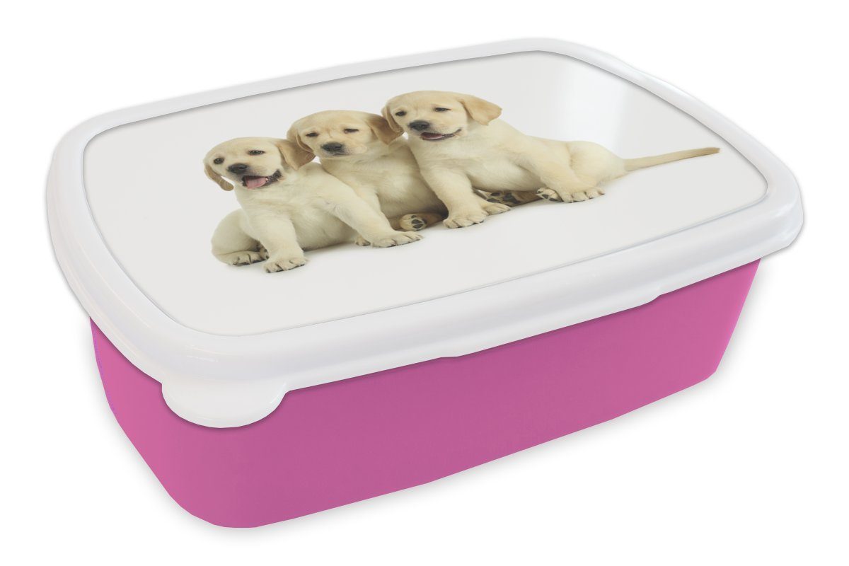 (2-tlg), Kunststoff, rosa Kinder, Brotbox Erwachsene, Kunststoff Lunchbox Brotdose Drei MuchoWow Snackbox, Labradorwelpen, für Mädchen,