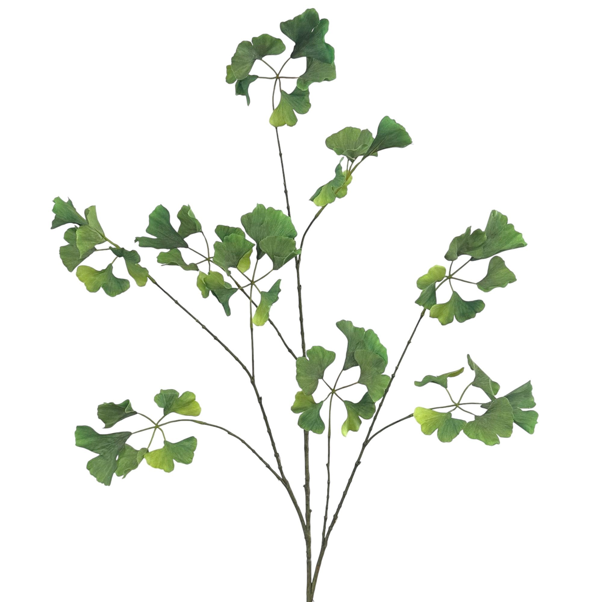 Kunstzweig Künstlicher Ginkgozweig 125cm. Kunstpflanze mit Realistischen Blättern, naninoa GmbH, Höhe 125.00 cm