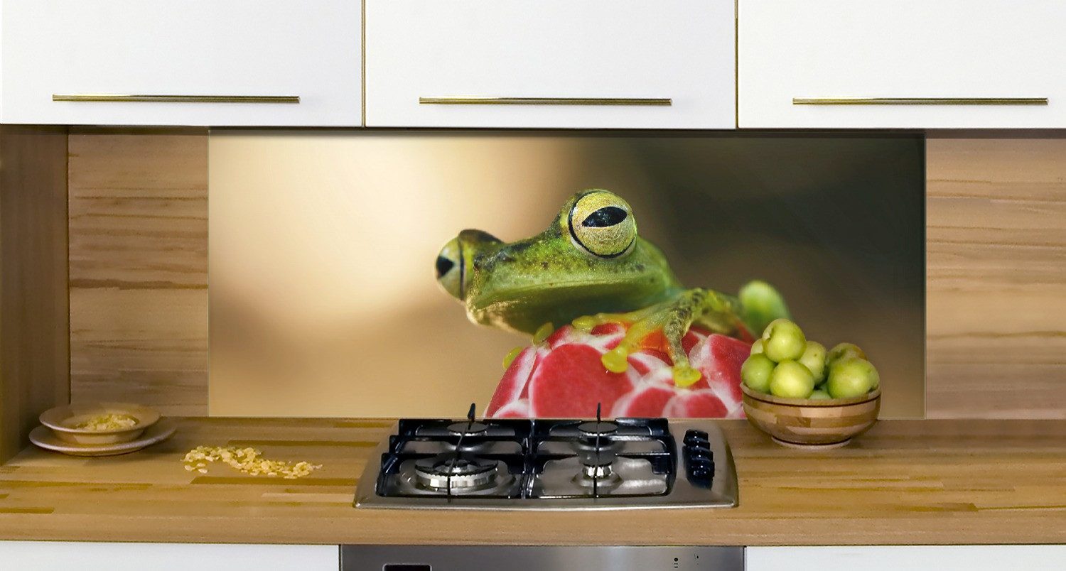 Wallario Küchenrückwand Frosch sitzt auf einer Knospe, (1-tlg)