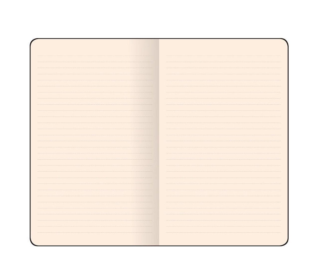 Flexbook Notizbuch Flexbook Smartbook 9*14cm viele Orange 160 Liniert Ökopapiereinband Größen/Fa Seiten