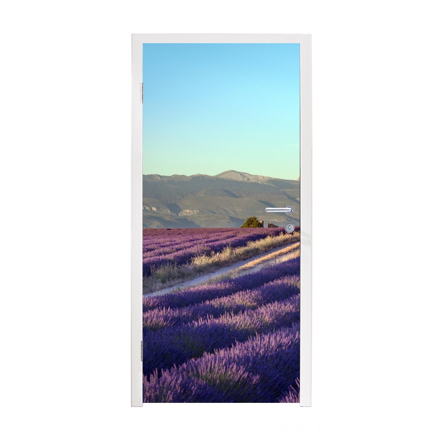 MuchoWow Türtapete Blühende Lavendelfelder auf der Hochebene von Valensole in, Matt, bedruckt, (1 St), Fototapete für Tür, Türaufkleber, 75x205 cm