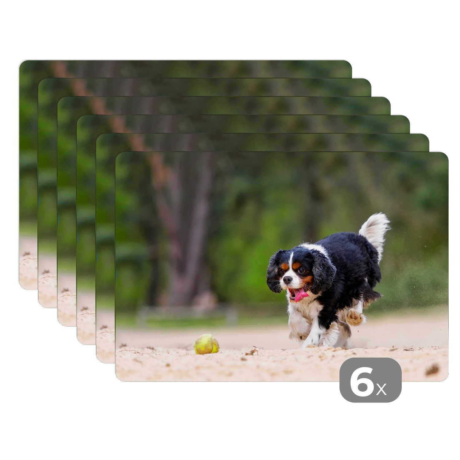 Platzset, Ein Cavalier King Charles Spaniel spielt mit einem Tennisball, MuchoWow, (6-St), Platzset, Platzdecken, Platzmatte, Tischmatten, Schmutzabweisend