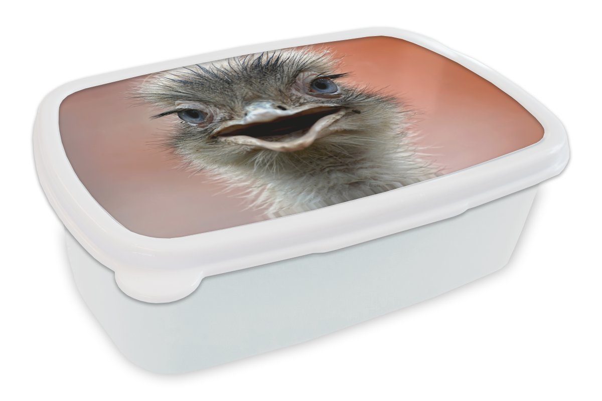 MuchoWow Lunchbox Strauß - Tiere - Makro, Kunststoff, (2-tlg), Brotbox für Kinder und Erwachsene, Brotdose, für Jungs und Mädchen weiß