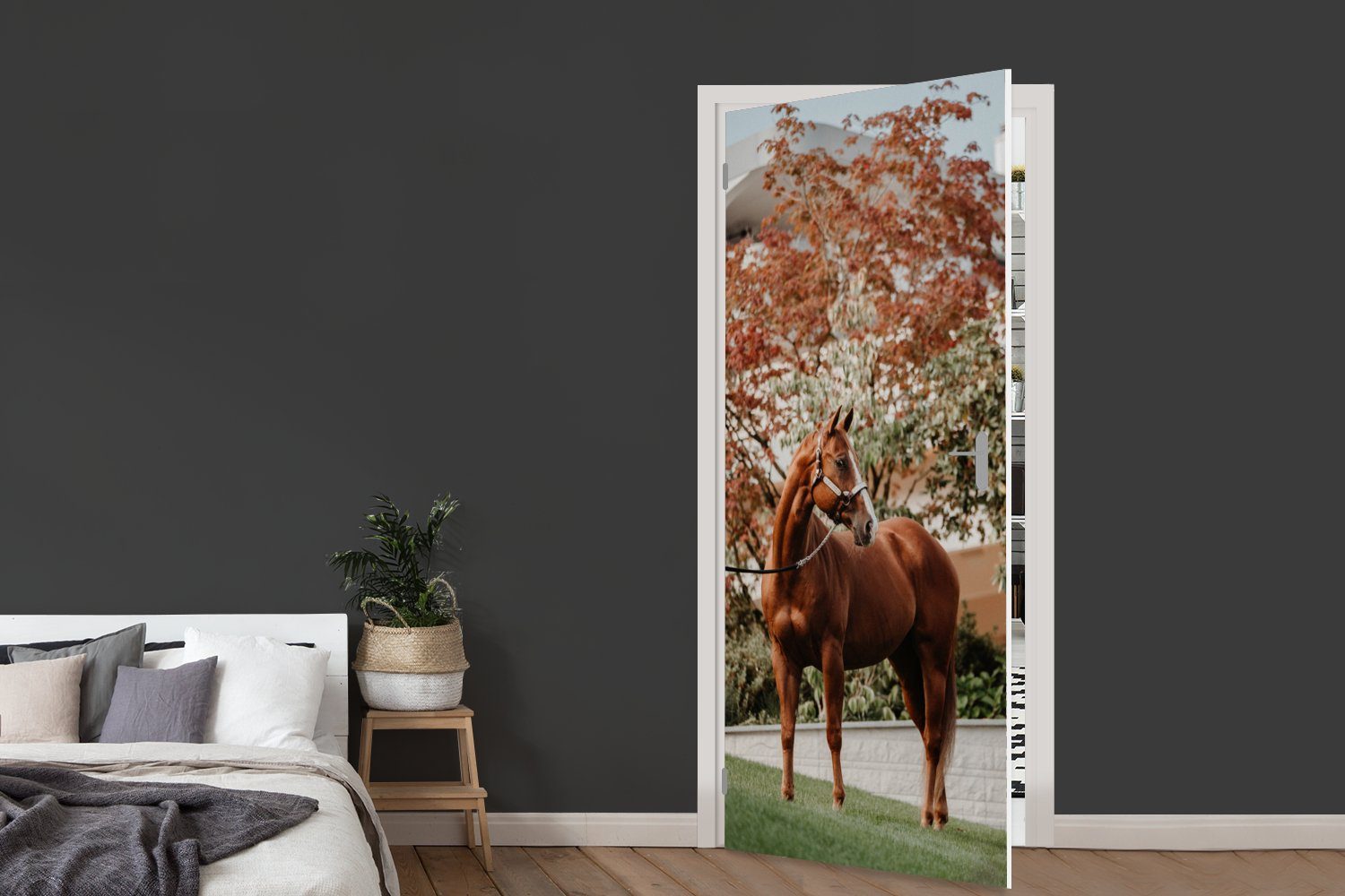 cm (1 St), Fototapete Tür, - - Baum MuchoWow für bedruckt, Türaufkleber, Halfter, 75x205 Matt, Türtapete Pferd
