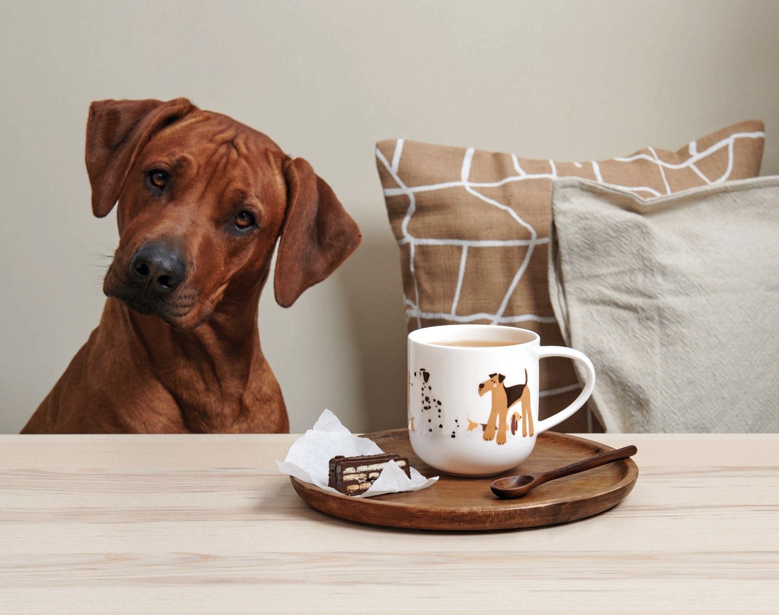 ASA SELECTION Becher COPPA Henkelbecher Dogs 0,4 l, Fine Bone China, Geschirr