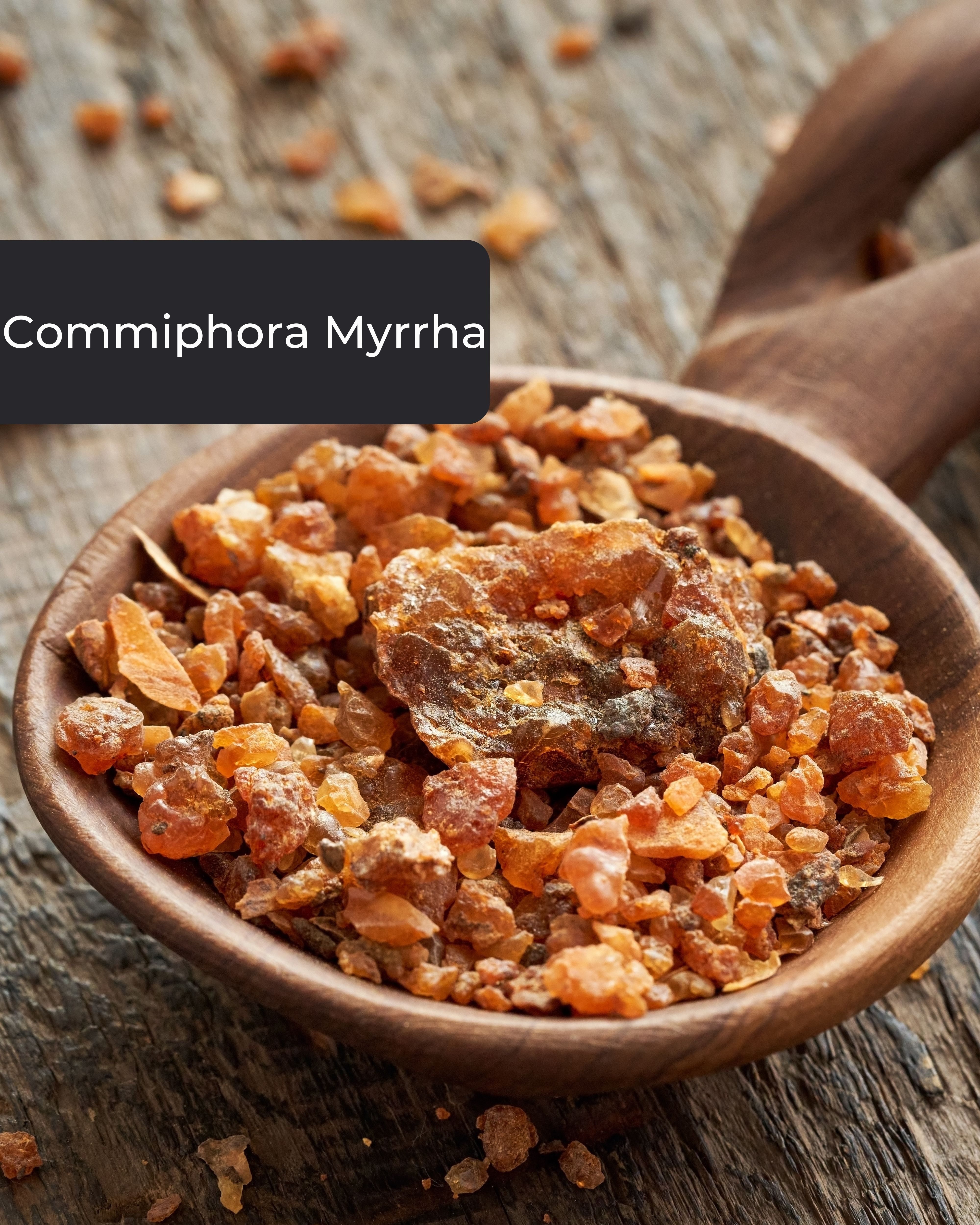 Incensera Räucherschale Myrrhe Harz zum Räuchern, Räucherharz Räucherwerk Baumharz Myrrh Resin, naturbelassen, ohne Zusätze, handverlesen, wiederverschließbar