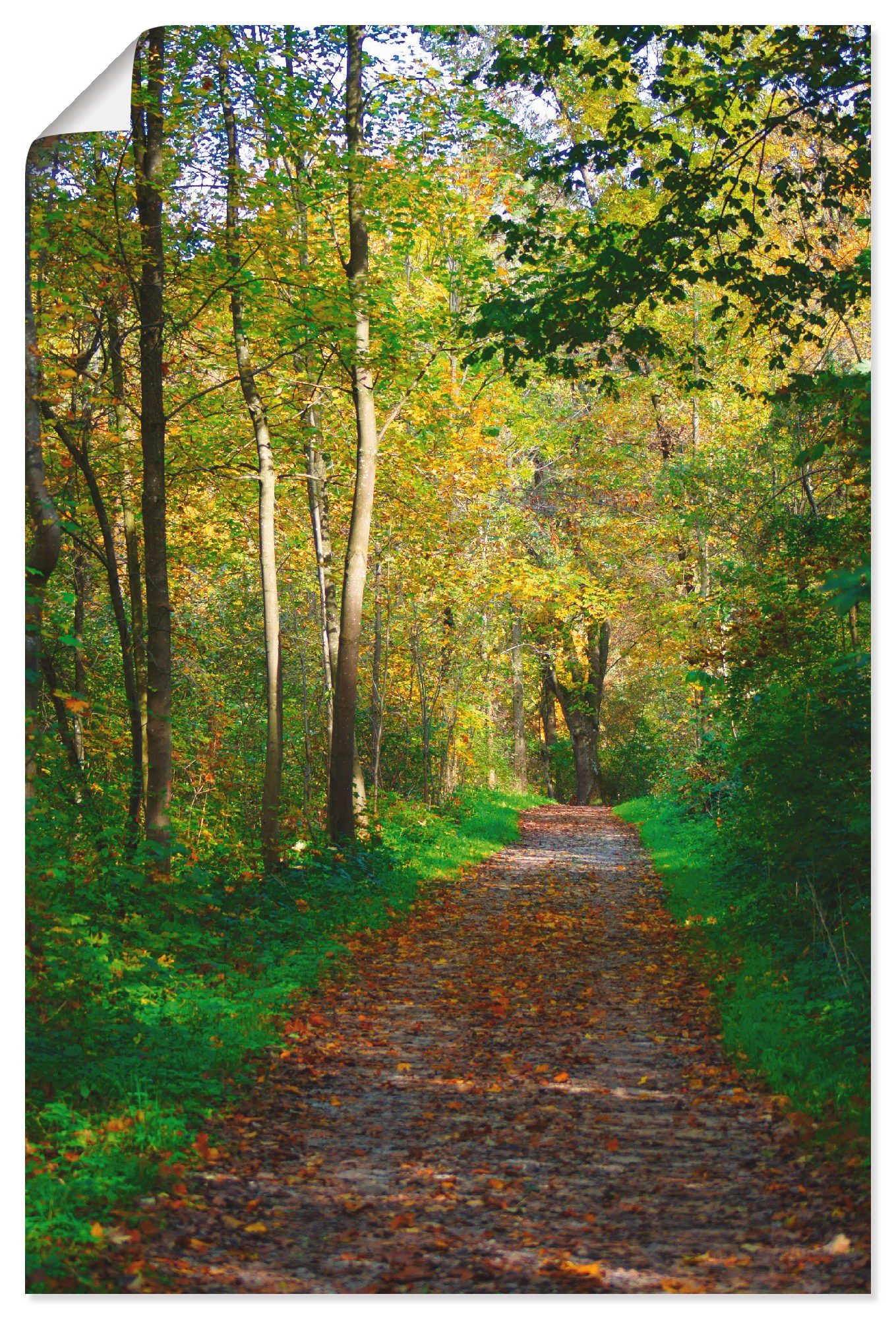 Artland Wandbild Weg im Herbst als versch. in Wald Poster Wald, Leinwandbild, Alubild, Wandaufkleber St), (1 oder Größen