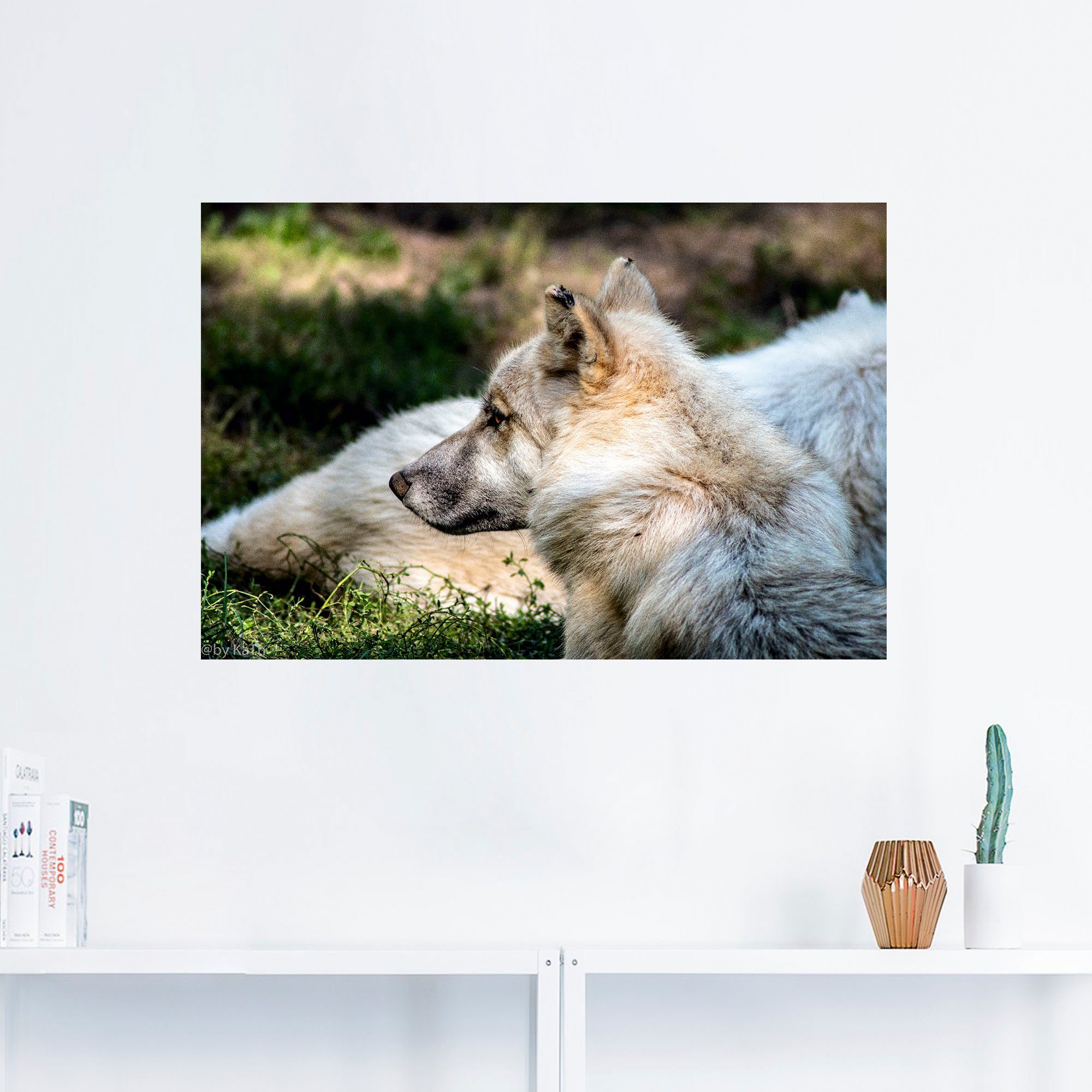 Artland Wandbild »Blick in die Ferne«, Wolfbilder (1 Stück), in vielen Größen & Produktarten - Alubild / Outdoorbild für den Außenbereich, Leinwandbild, Poster, Wandaufkleber / Wandtattoo auch für Badezimmer geeignet-HomeTrends